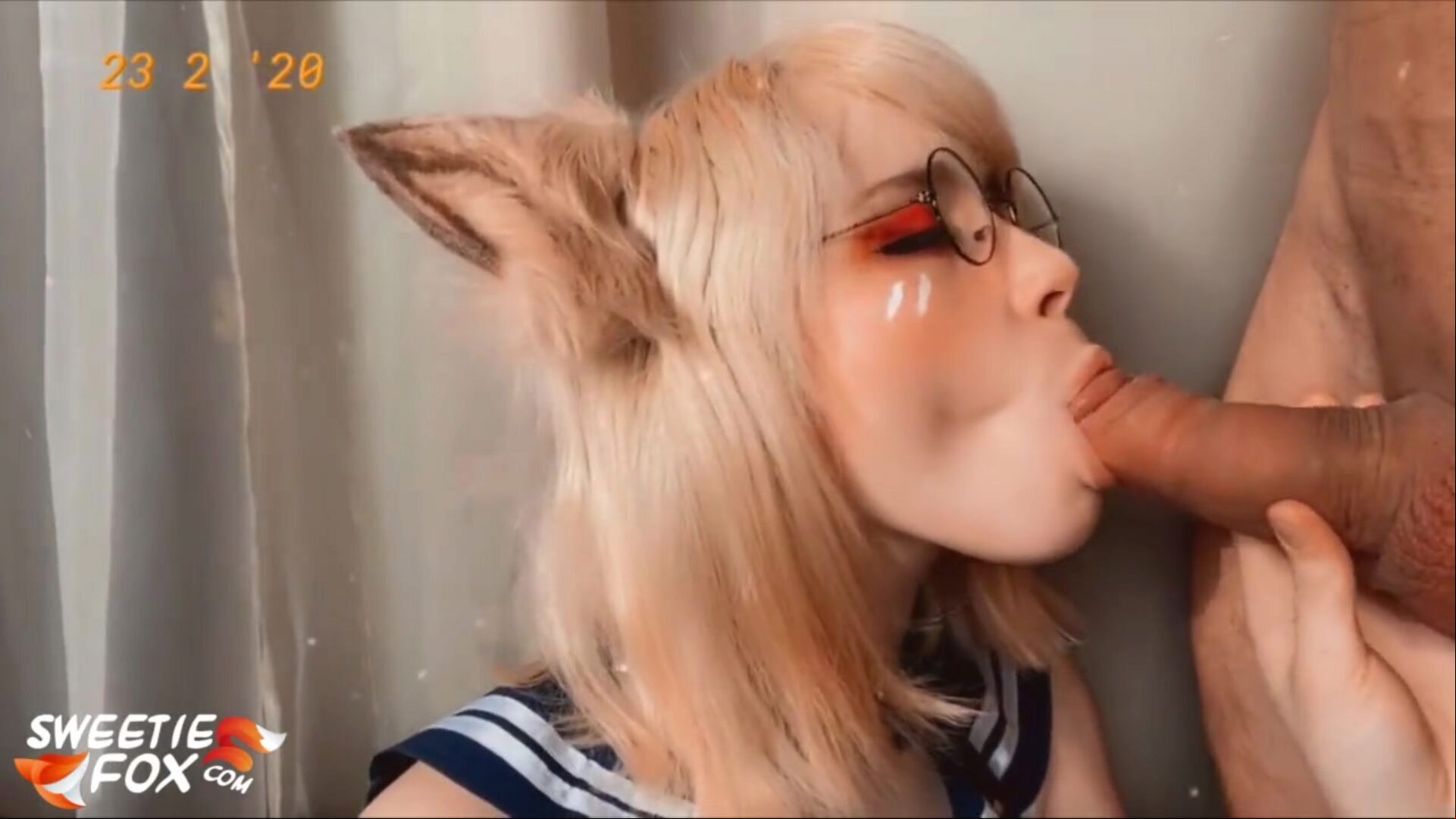 亲爱的狐狸吹箫迪克邻居和暨在嘴